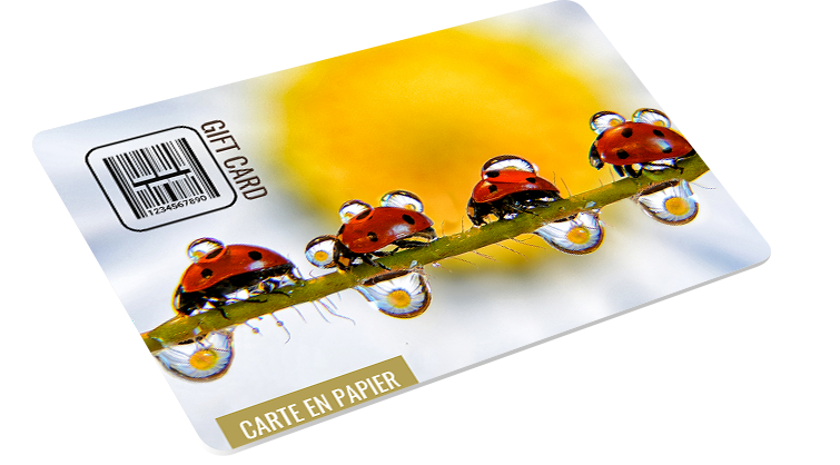 carte en papier et pulpe de cellulose